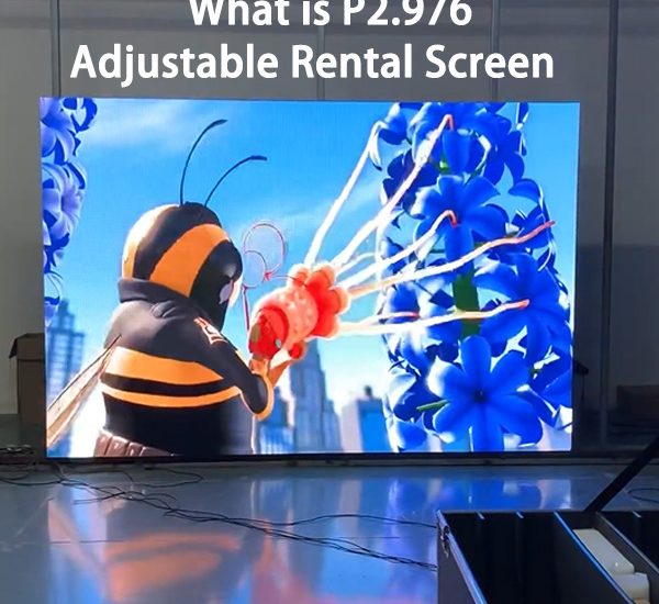 What is P2.976 adjustable rental screen?