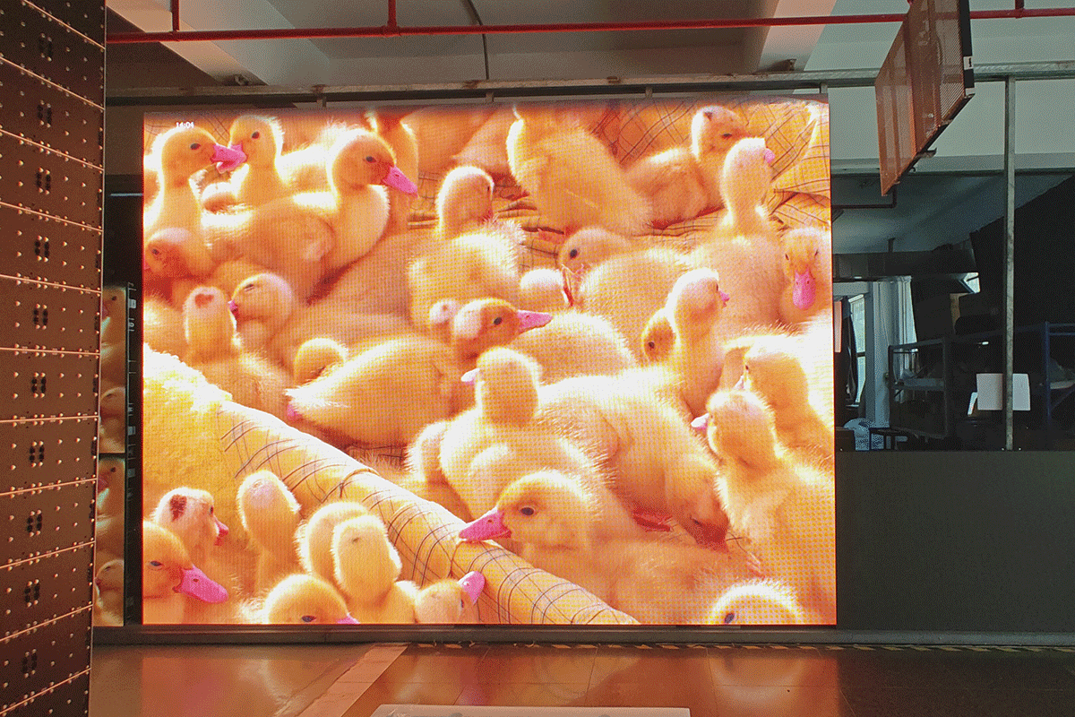 Indoor Aluminum Cabinet LED Display Screen Display Effect - 250x500mm,250x750mm,250x1000mm LED Video Wall Panel